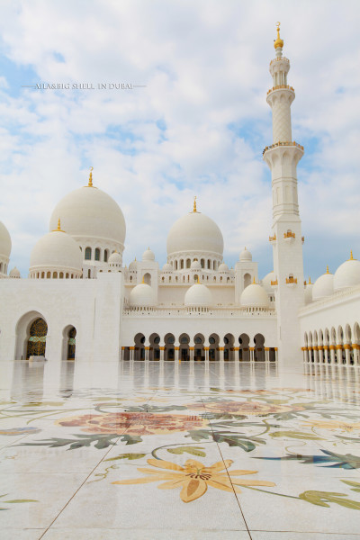 迪拜的旅行vlog,迪拜之旅vlog模板