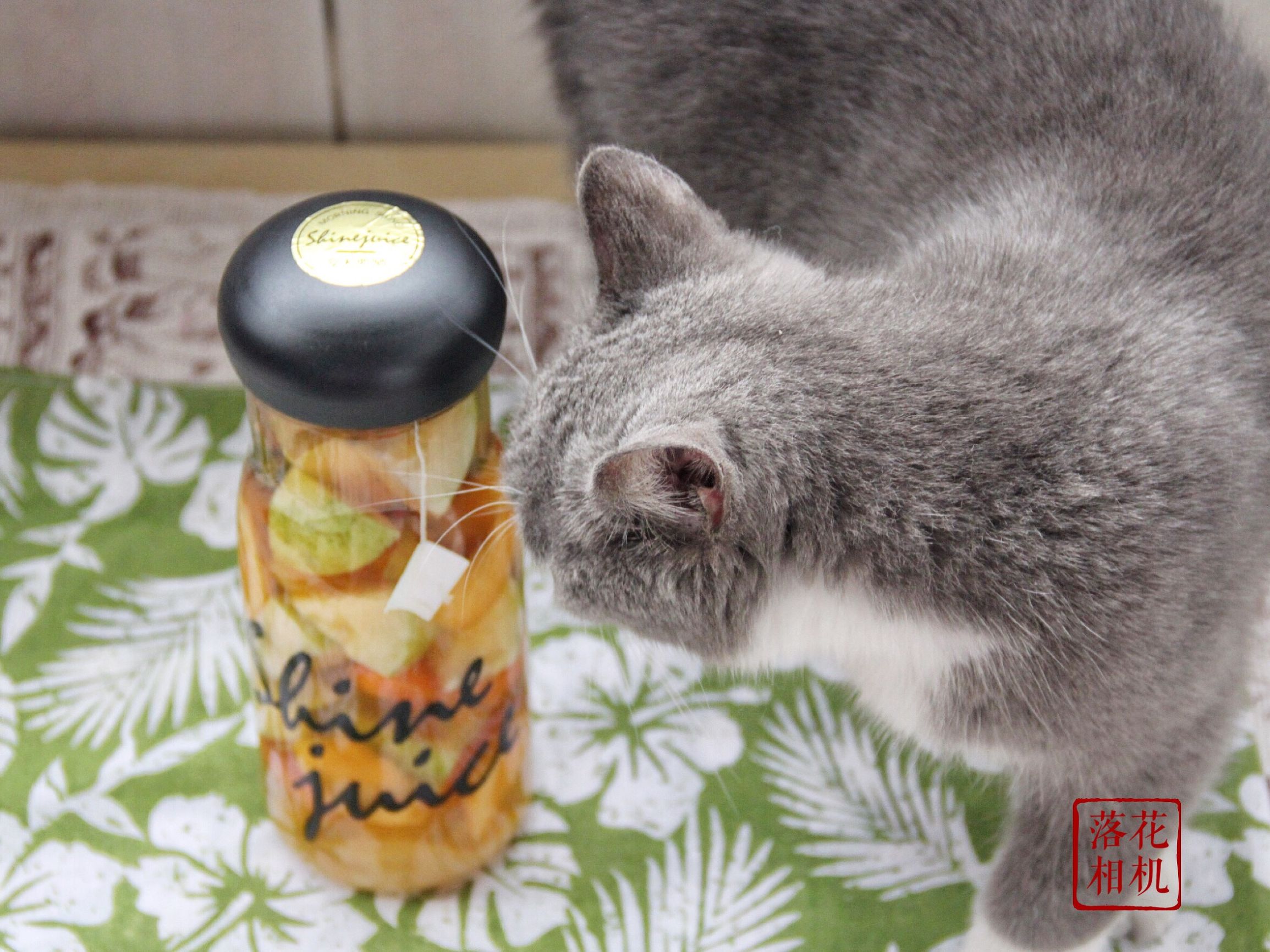 喜茶丧茶制作方法,喜茶推荐喝法