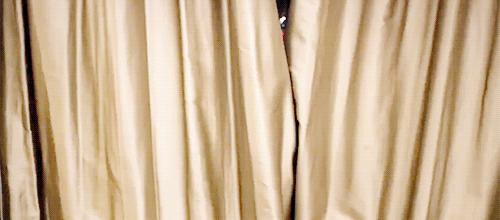 一波小怪兽还不够？今年KanI继续肆虐！