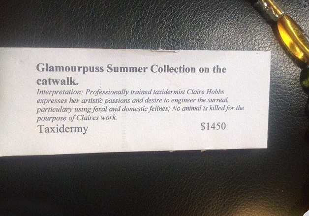 国外公然叫卖由真猫做成的包,价格高达1万竟然还被抢断货