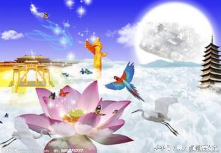 36:狗洞被少爷堵死,云端跳墙逃跑,少爷守株待兔在墙下逮她