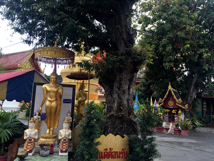 泰国清迈必买购物攻略,泰国之行