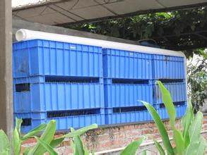 福建家庭园林假山鱼池景观设计,园林鱼池假山流水制作方法大全