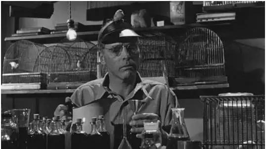 电影一座神奇的监狱,一个监狱在一个岛上电影