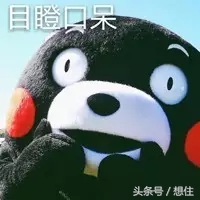 二度实探|那个宣称要“淘汰”北二环的大丰,你可能买不起了