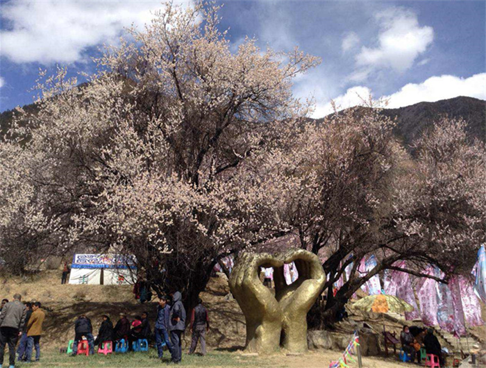 川藏线哪条路最好走,几月走川藏线最合适