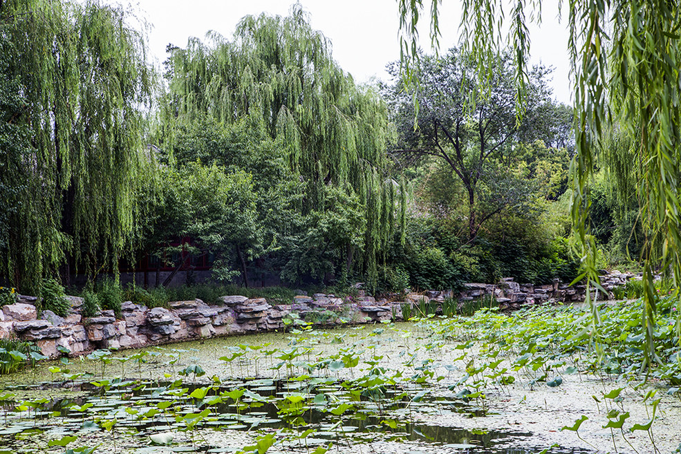 北京大学有几个燕园,北京大学燕园校区是哪个区