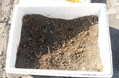 盆栽花卉全用营养土可以吗,怎样配制夏天花卉营养土