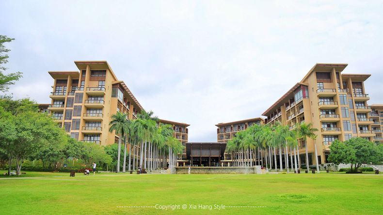 亚龙湾红树林，给你一个温馨的家