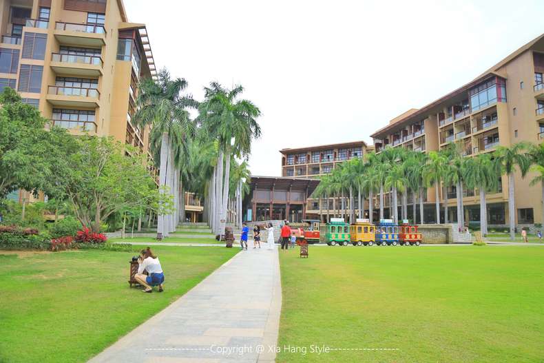 亚龙湾红树林，给你一个温馨的家