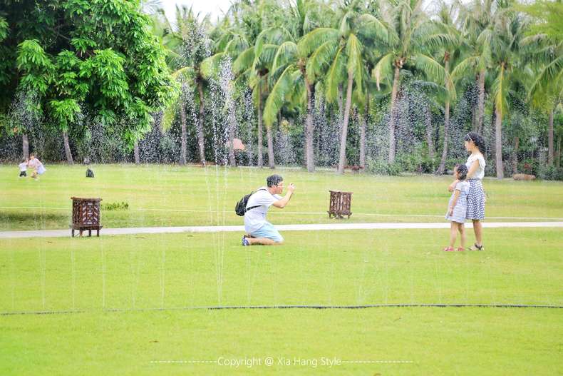 亚龙湾红树林，给你一个温馨的家