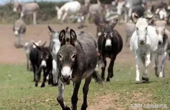 比房价涨幅还好的东西,比房价涨的还快的东西