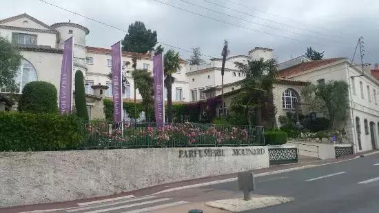 寻味格拉斯，老城下的香水之路！