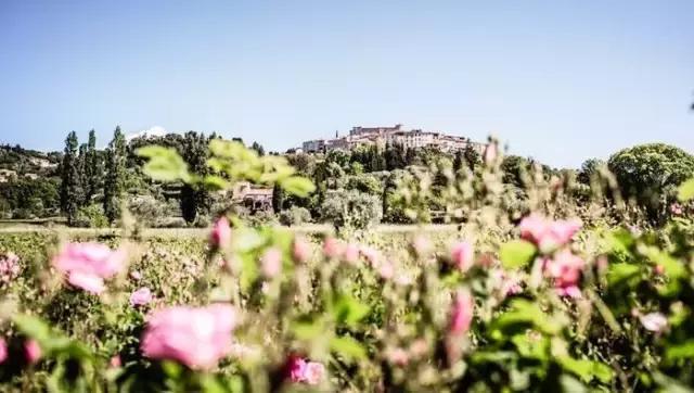 寻味格拉斯，老城下的香水之路！