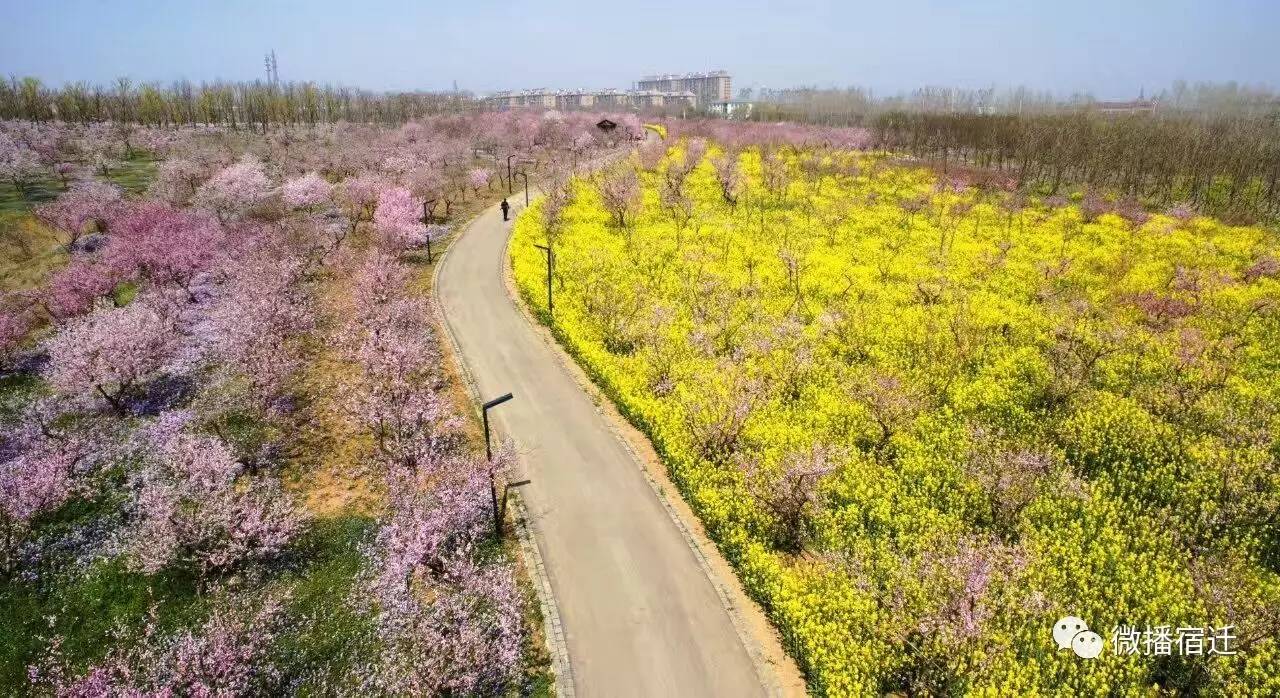 宿迁在宿迁人眼中,宿迁到底有多好