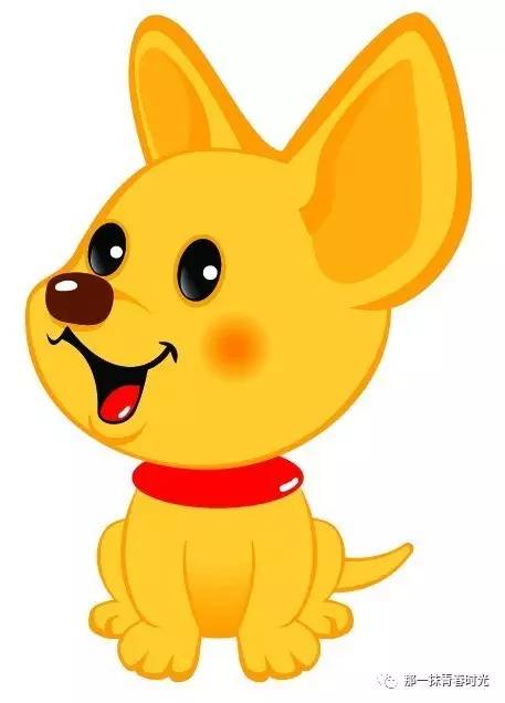 一条神奇的狗又可爱又聪明,一只超级神奇的狗狗