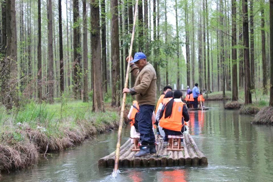 扬州湿地森林公园免费景点,扬州第一森林氧吧
