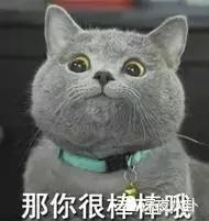 巨婴自私的缺点,巨婴啃老参透生活本质