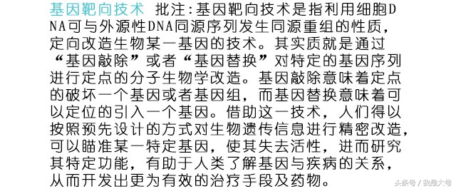 植物转基因技术流程,转基因技术的迅猛发展