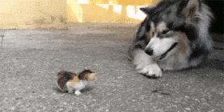 情侣小游戏恐怖版,情侣之间千万不能玩的小游戏