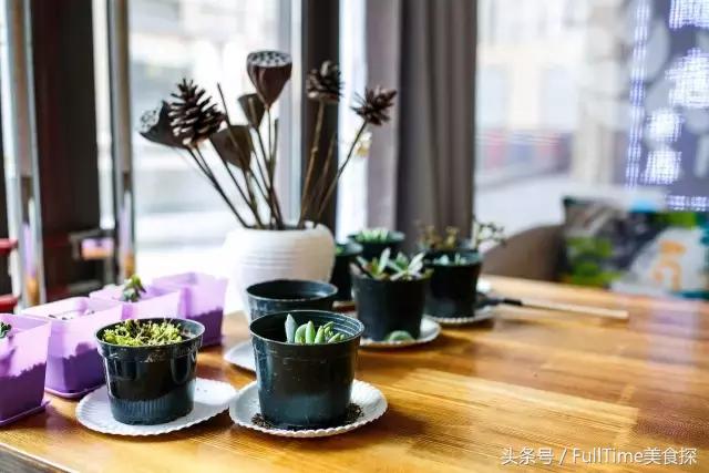 如果你还有梦,就请像她们一样!内含不限量免费吃!