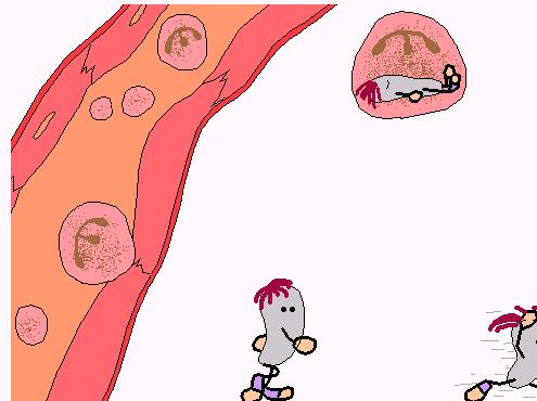 辣木的29个神奇功效,长期吃辣木叶片有什么好处