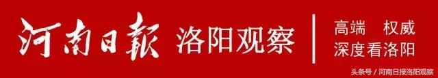 河南广播电视台聚焦健康,河南日报洛宁县