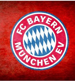 足球队徽大全介绍,足球队徽各个国家