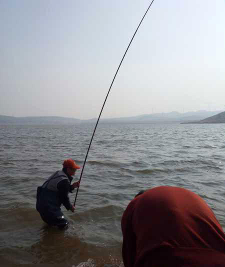 鱼拓手竿,钓巨型鱼手竿