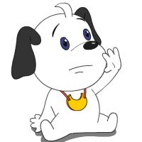 一条神奇的狗又可爱又聪明,一只超级神奇的狗狗