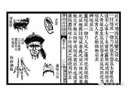 六种僵尸类型,僵尸的种类及治疗方法