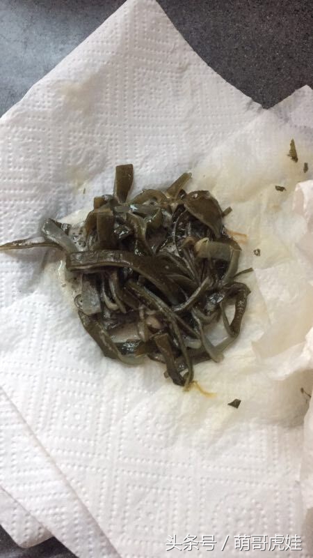 没有常识的家政阿姨竟然给汪星人吃海带,只因怕浪费害苦了宝宝