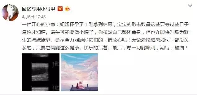 回忆小马甲的妞妞多大了,妞妞怀孕时穿的樱桃裙