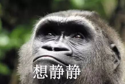 变美日记打卡日常,戴牙套真的可以变美吗