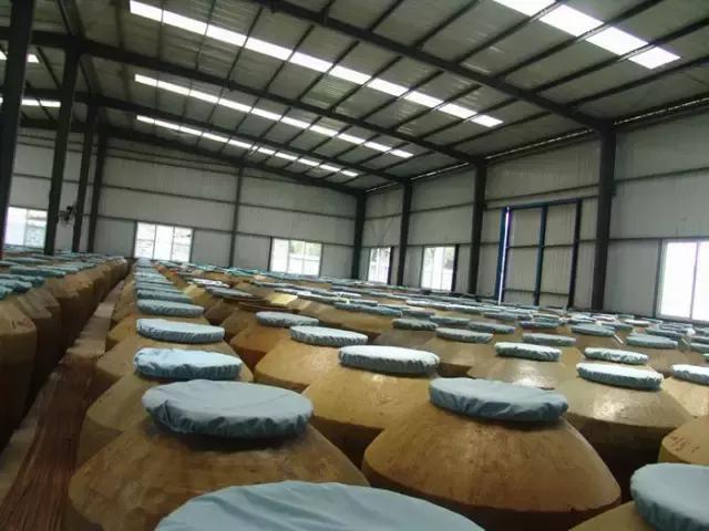 揭秘茶叶行业内幕,茶叶深度解析视频