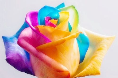 工作中被小人陷害怎么办,职场中如何避免小人暗算