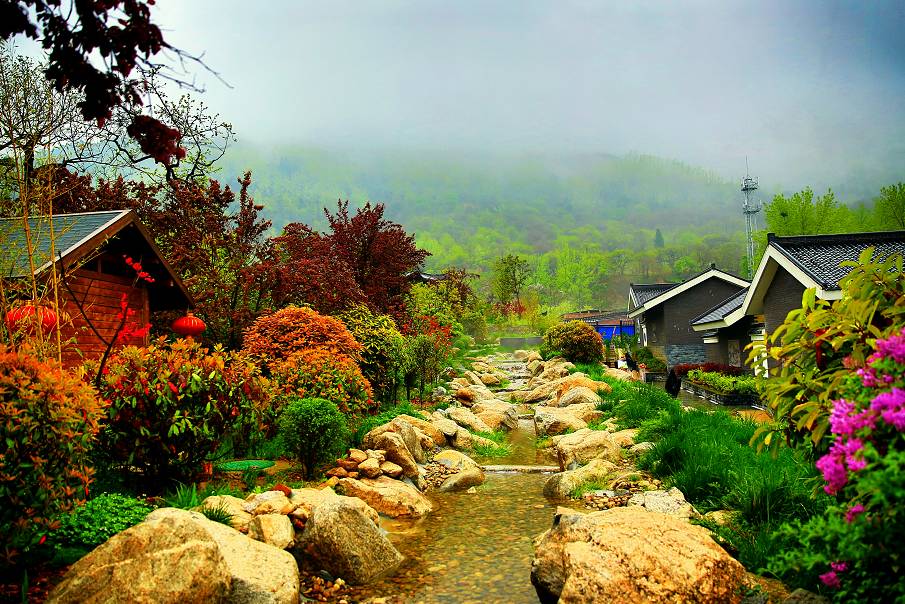 有一种美叫诗意,有一种美叫美人