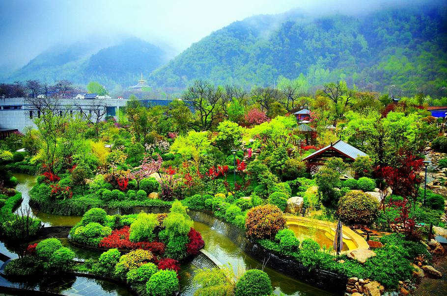 有一种美叫诗意,有一种美叫美人