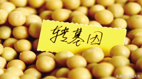 植物转基因技术流程,转基因技术的迅猛发展