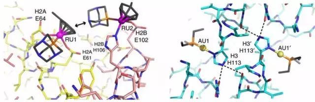 抗肿瘤创新药物,新型强效抗癌药物