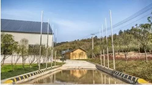 丁磊养猪成功案例,丁磊养猪的创业思维