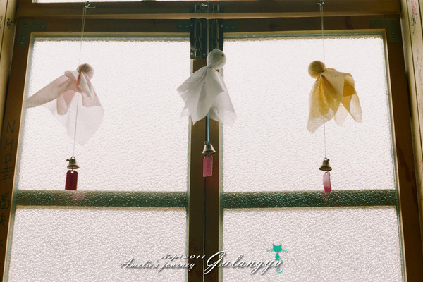 鼓浪屿旅行攻略大全,鼓浪屿旅行攻略大全最新