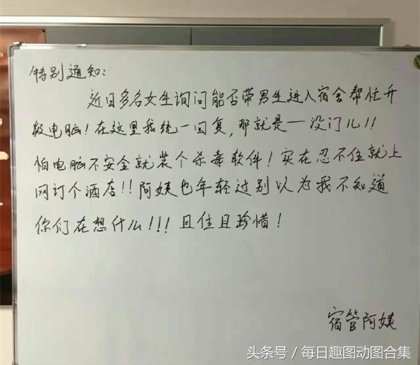 超经典肚皮舞,正宗肚皮舞欣赏