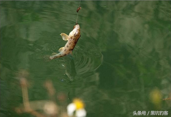 避小鱼方法,怎样避开小鱼最有效