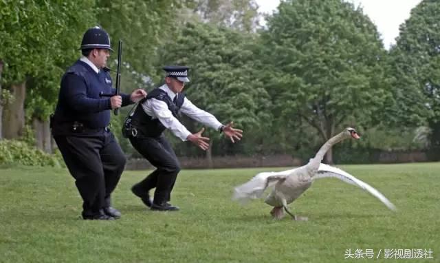 一部无厘头的风格喜剧电影,一部颠覆三观的喜剧片