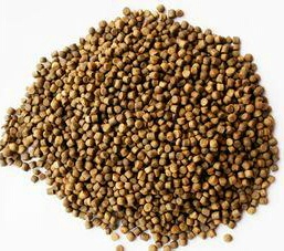 黑坑秋冬季草鳊青通杀饵料搭配,黑坑混养鲫鱼鲤鱼通杀饵料小药