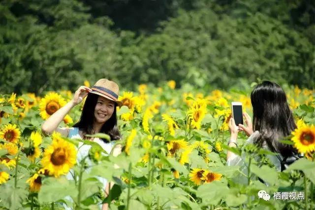 高大上的仙林，属于有梦想的人