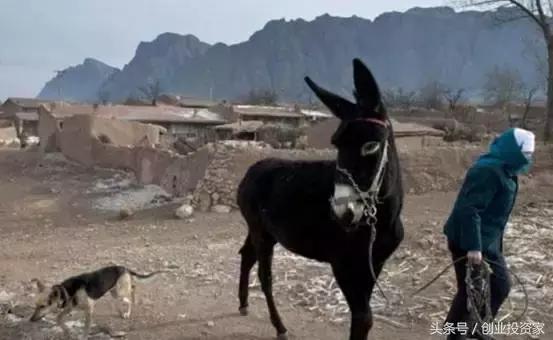 比房价涨幅还好的东西,比房价涨的还快的东西