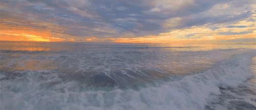 贵妃芒是酸芒果吗,芒果好吃还是贵妃芒