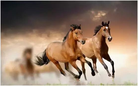 长安汽车新征程,长安汽车用4句话定义新汽车